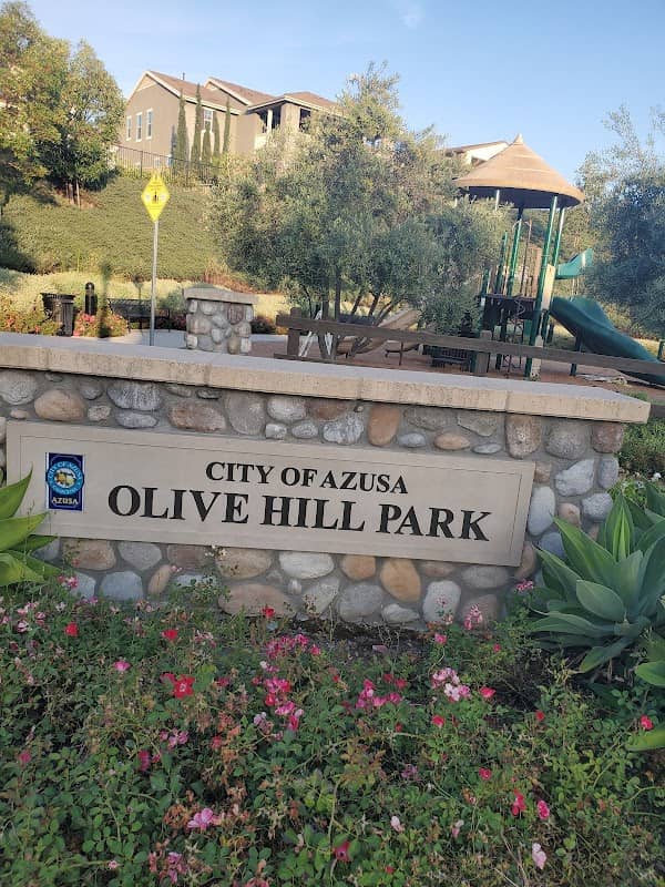 Olive Hill Park - Image 5