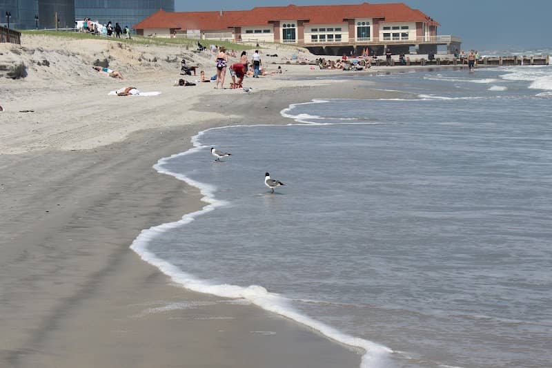Atlantic City Historical Museum - Image 1
