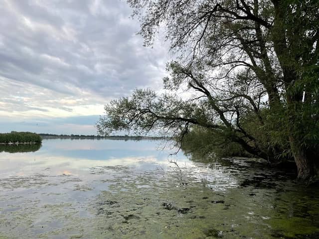 Mitteldamm - Image 1