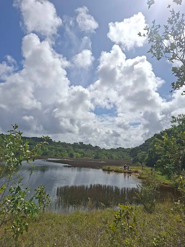 Represa do bom viver - Image 1
