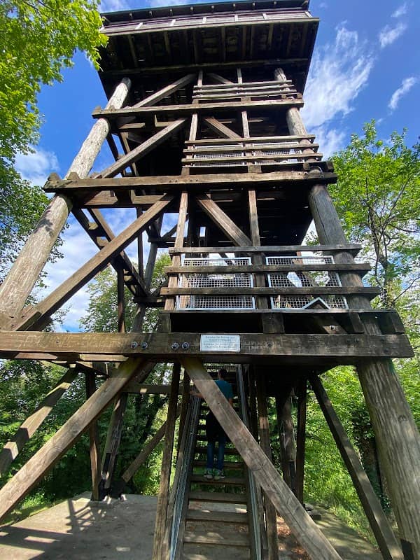 Aussichtsturm Käpfle (Alteburg) - Image 1