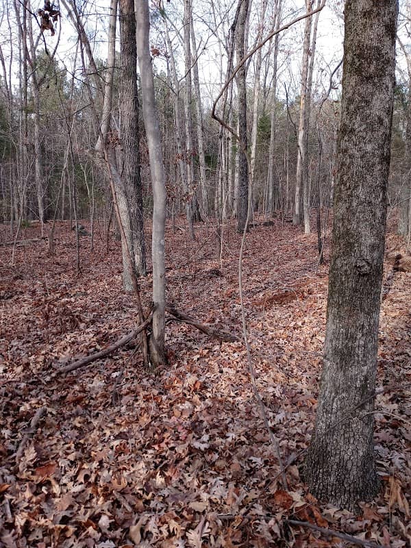Auten Nature Preserve - Image 2