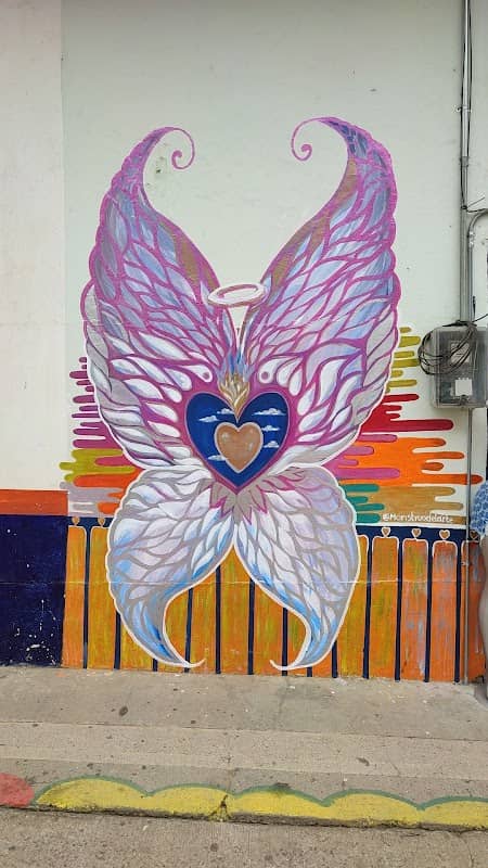 Alas de Mariposa Darien - Image 2