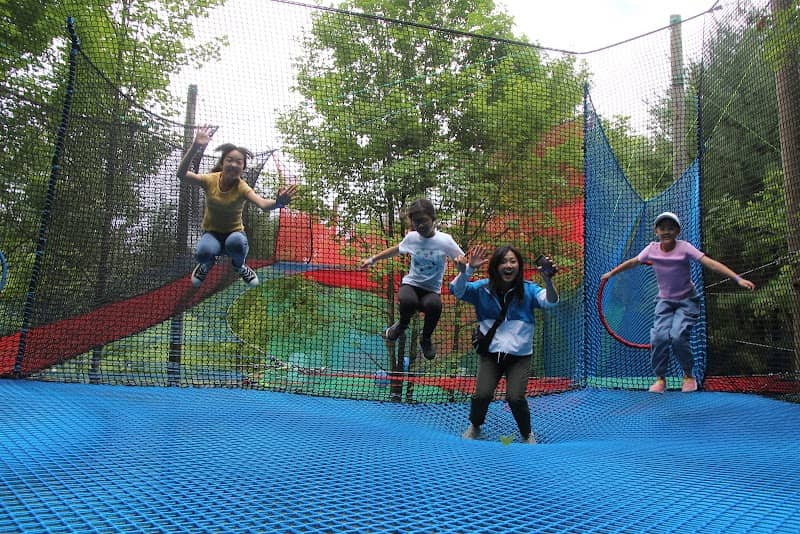 ibounce at Treetop Eco-Adventure Park - Image 2