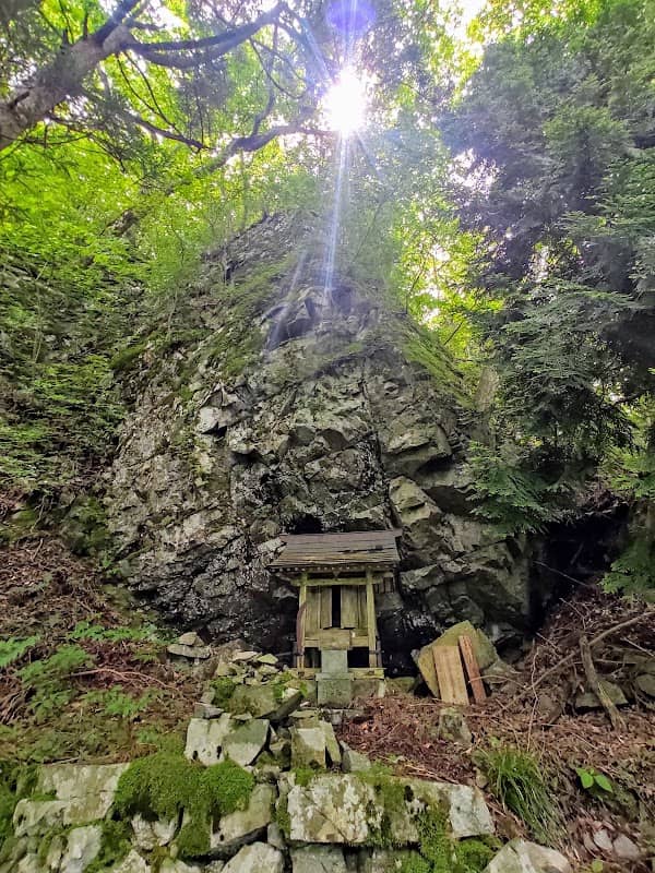 Tengu Forest - Image 3