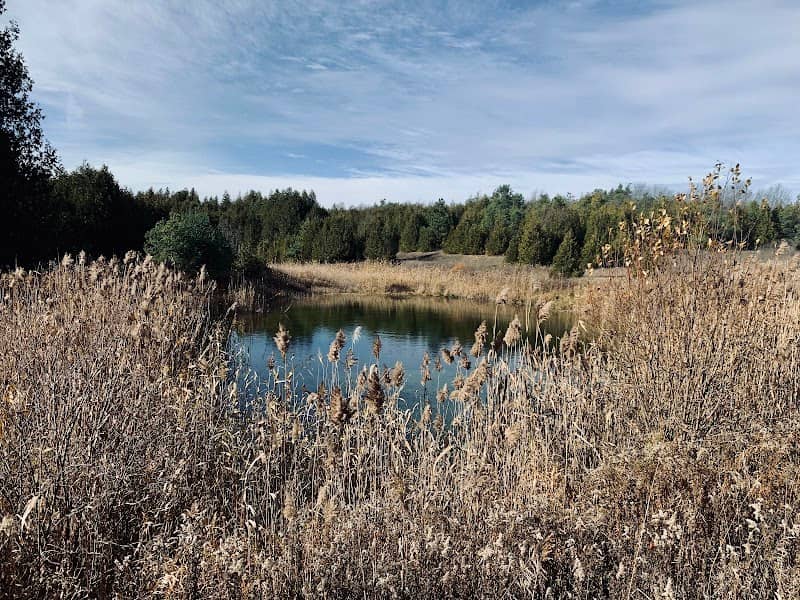 Honey Twin Ponds - Beta Pond - Image 1