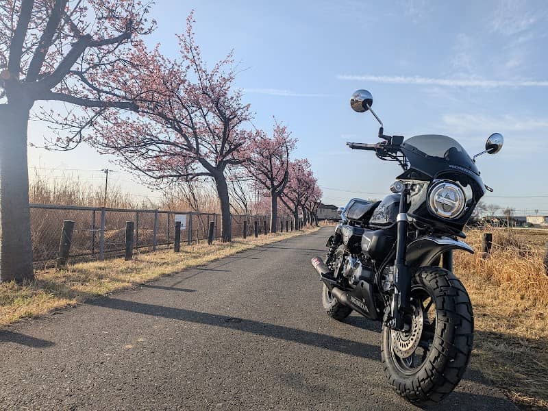 河津桜あじさいライン - Image 1