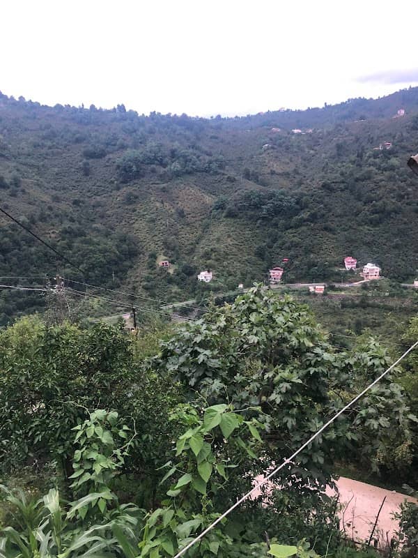Kuşçulu Köyü Konağı - Image 1