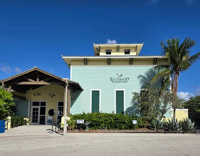 Loggerhead Marinelife Center - Image 1