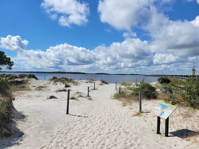 Amelia Island State Park - Image 3