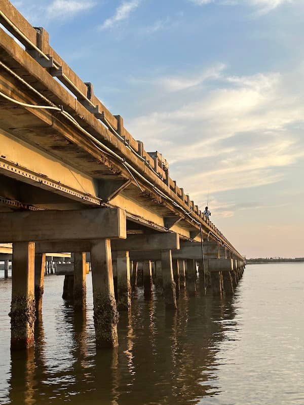 Amelia Island State Park - Image 2