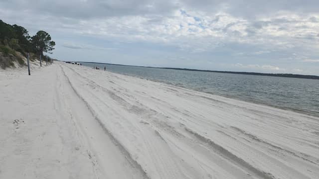 Amelia Island State Park - Image 1
