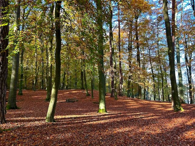 Forsthaus am Liepnitzsee - Image 1