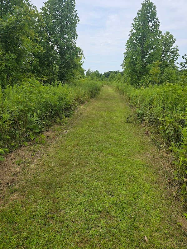 Augusta-Anne Olsen State Nature Preserve - Image 1