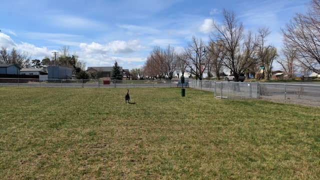 Rails and Tails Dog Park - Image 3