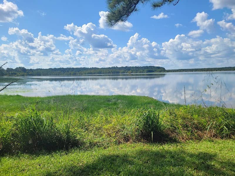 Noxubee National Wildlife Refuge - Image 3