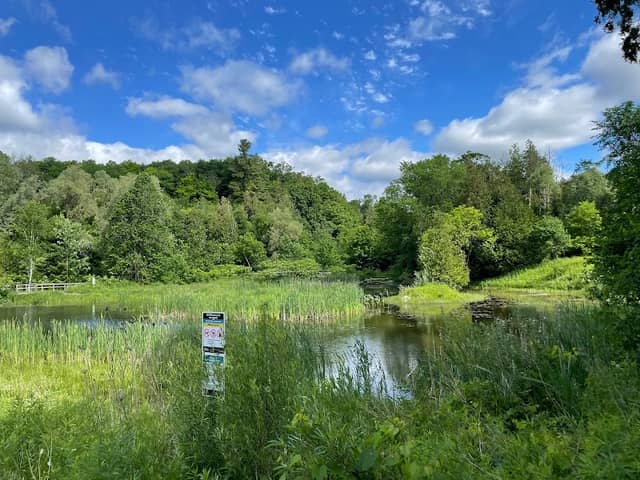 Devil's Den pond - Image 1