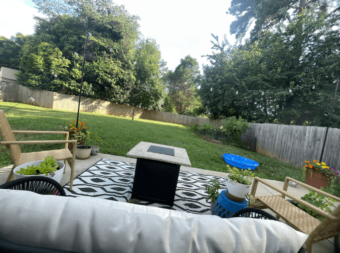 Paws & Play – Private Dog Park - Image 1