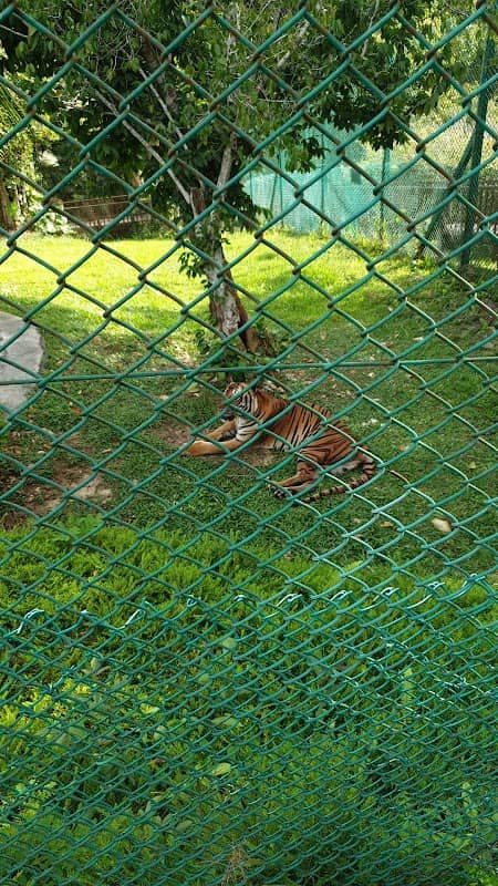 Taman Tumbina Zoo - Image 1