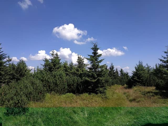 Pod Tetrevcem - Image 1