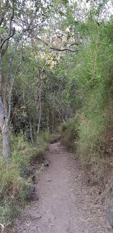 Portería Parque Nacional La Campana - Image 3