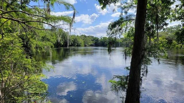 Fanning Springs State Park - Image 2