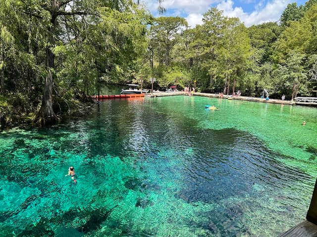 Fanning Springs State Park - Image 1