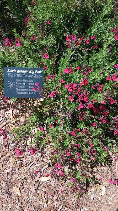 The Garden at Tonaquint Park - Image 2