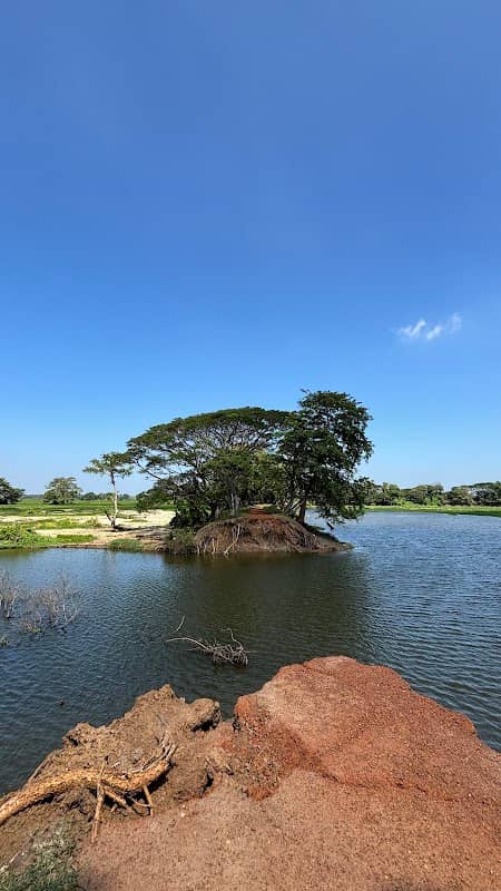 Anawilundawa International Ramsar Wetland Sanctuary - Image 1