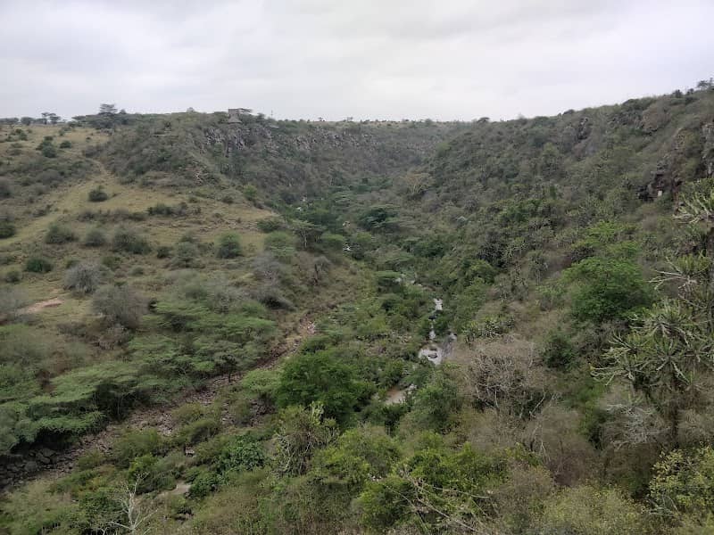 Leopard Cliff Observation Point - Image 1