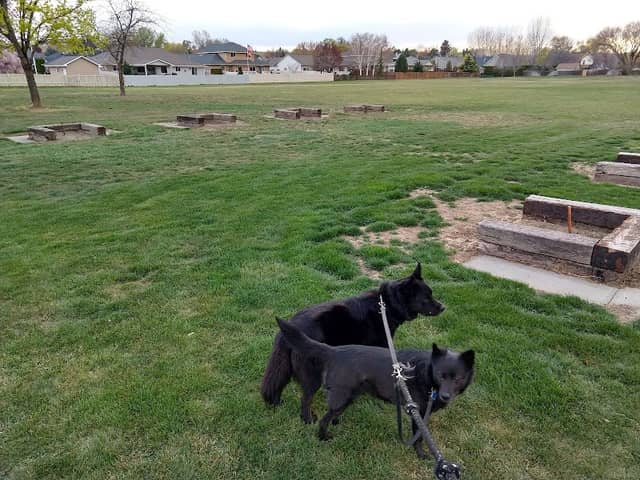 West Valley Community Park - Image 2