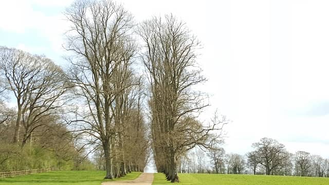 Tusmore Park - Image 1
