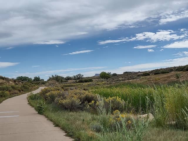Carpenter Natural Area - Image 1