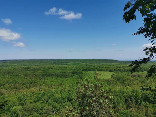 Bayview Escarpment Provincial Nature Reserve - Image 1