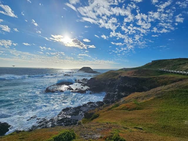 Phillip Island Nature Parks - Information Centre - Image 1