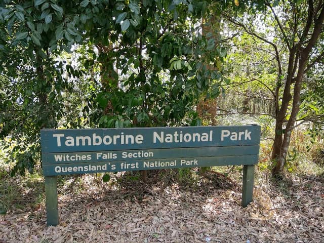 Tamborine National Park - Image 2