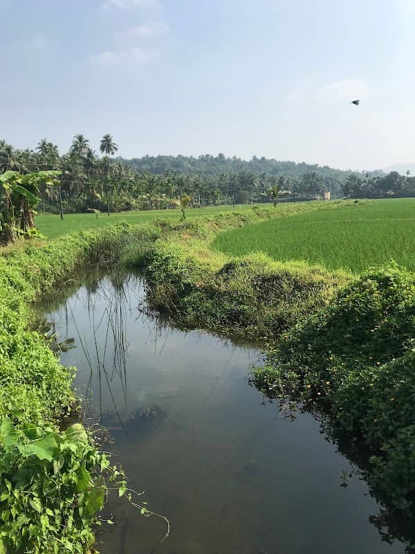 KUTTOOR PADAM - Image 1