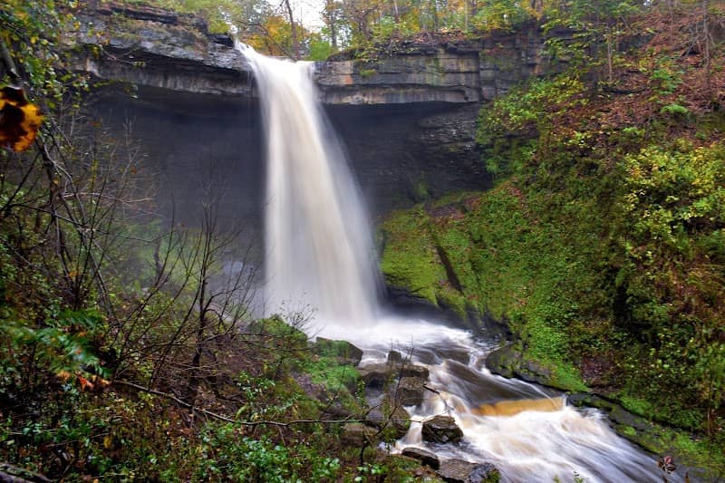 Bahar Preserve and Carpenter's Falls - Image 1
