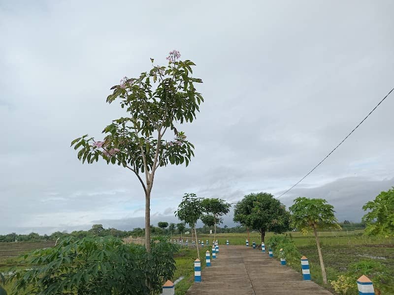 Lingkar view - Image 2