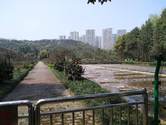 Chongqing Caiyunhu City Wetland Park - Image 1