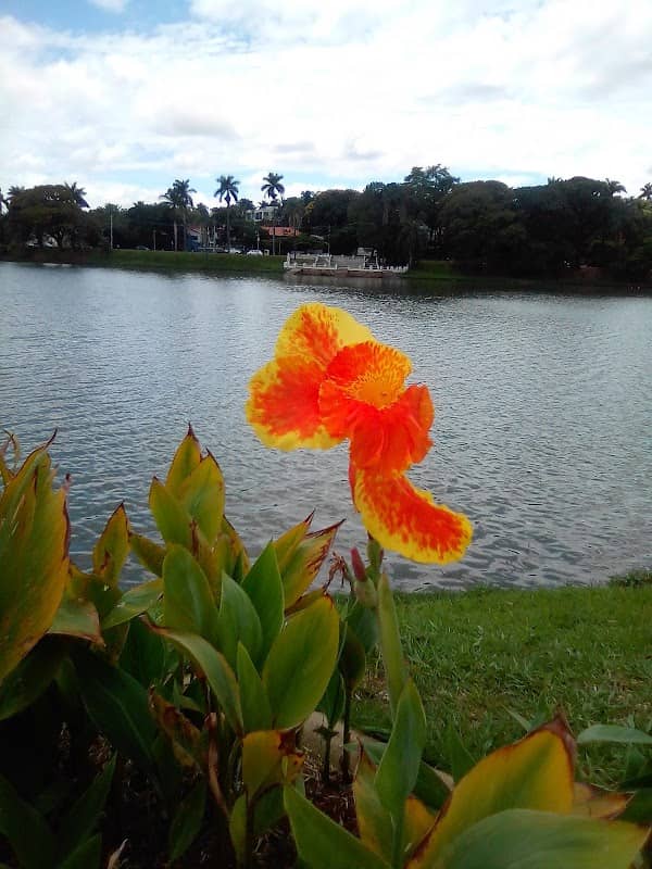 Praça São Francisco de Assis - Image 2