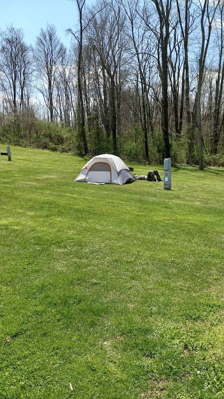 C Camp - Image 1