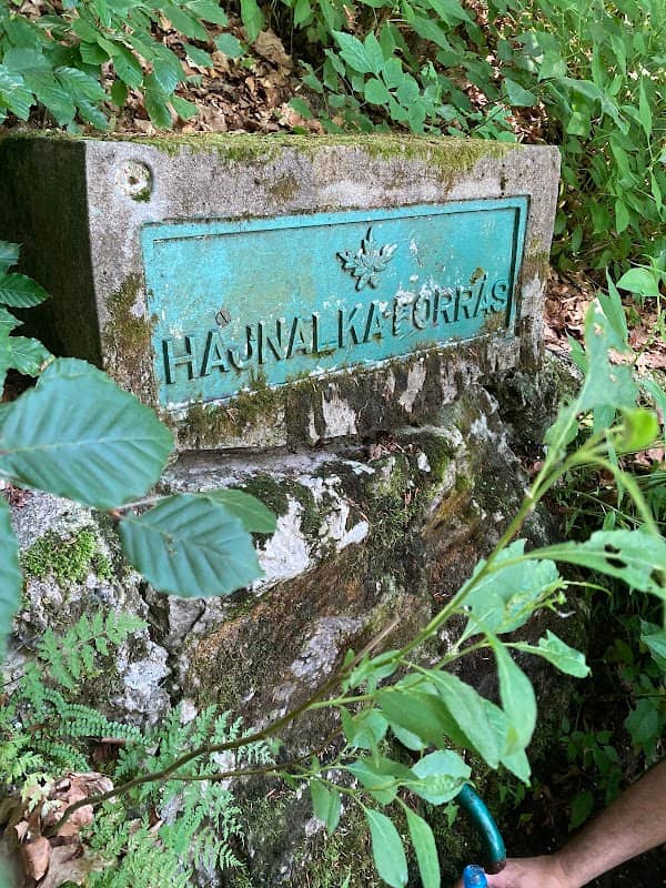 Hajnalka forrás - Image 1