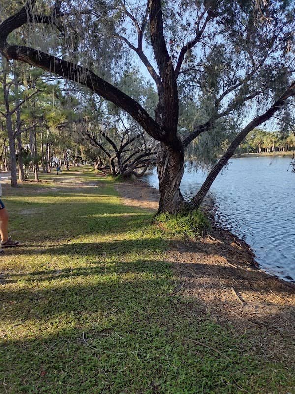 Palm Lake Park - Image 2