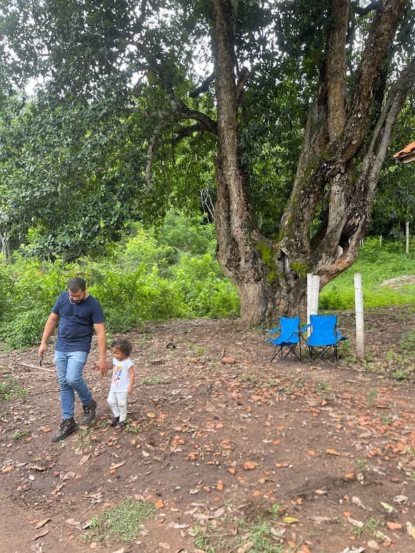 Descanso da mente - Image 1