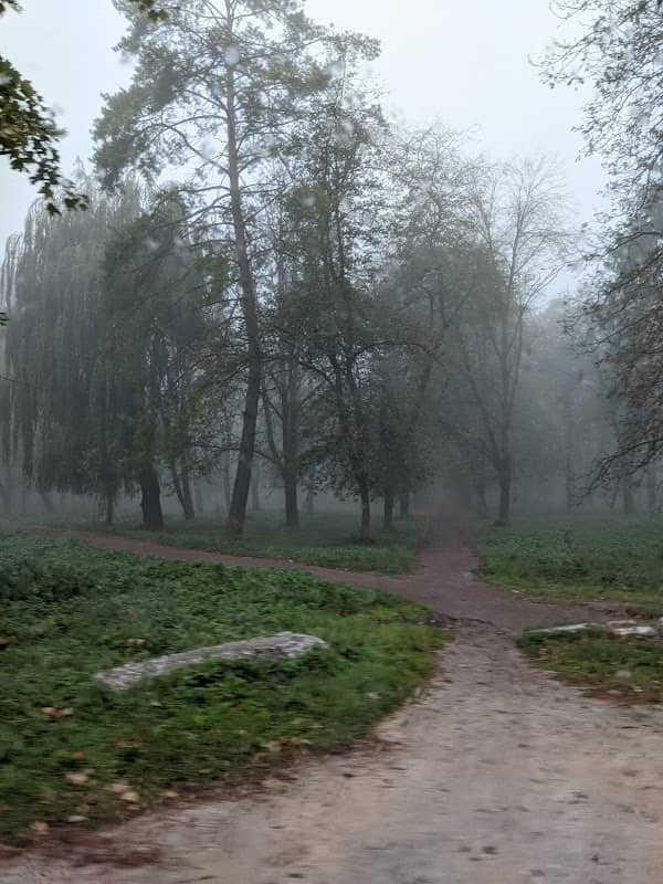 Park Ta Ozero - Image 1
