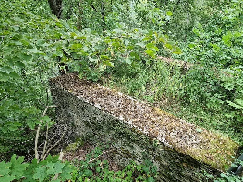 Ruine Burghalden - Image 1