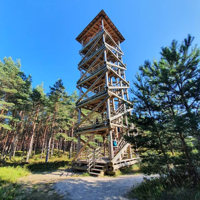 Kolkasrags pine nature trail, bird watching tower - Image 1