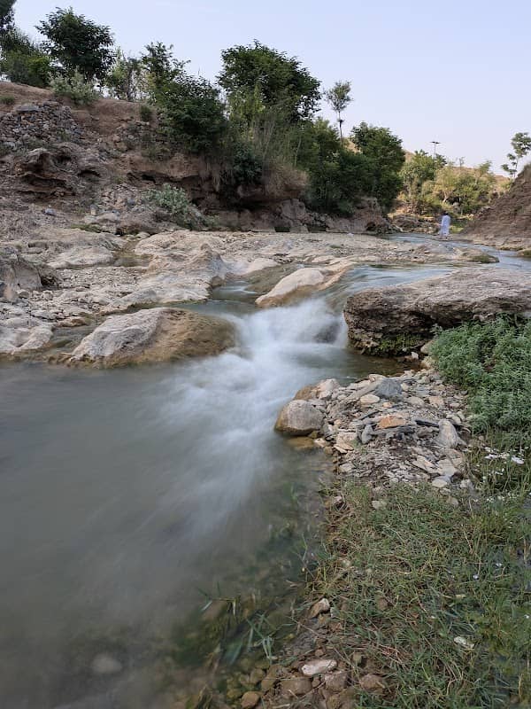 Lashora Picnic Point - Image 1