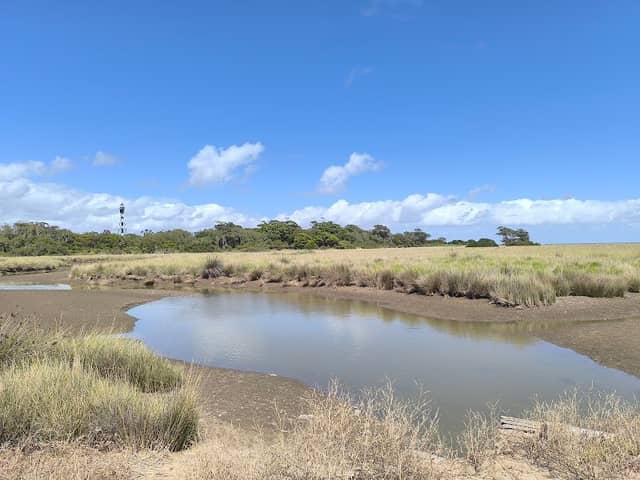 Mirador de Aves - Punta Rasa - Image 1